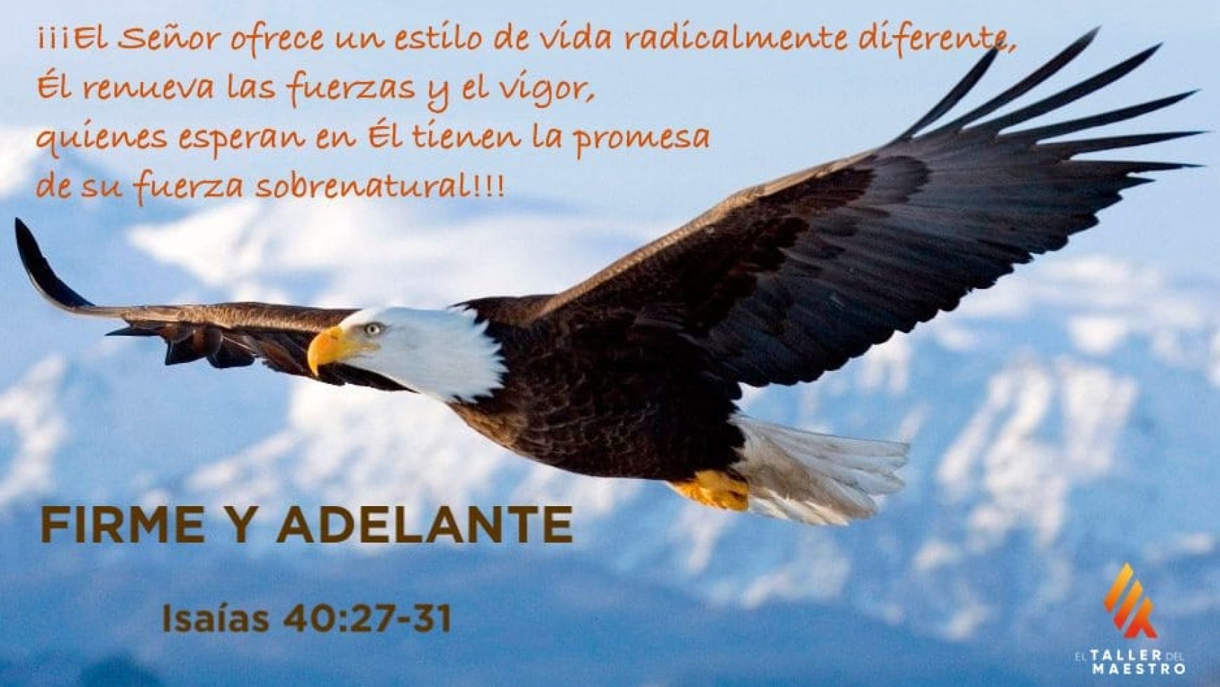 FIRME Y ADELANTE