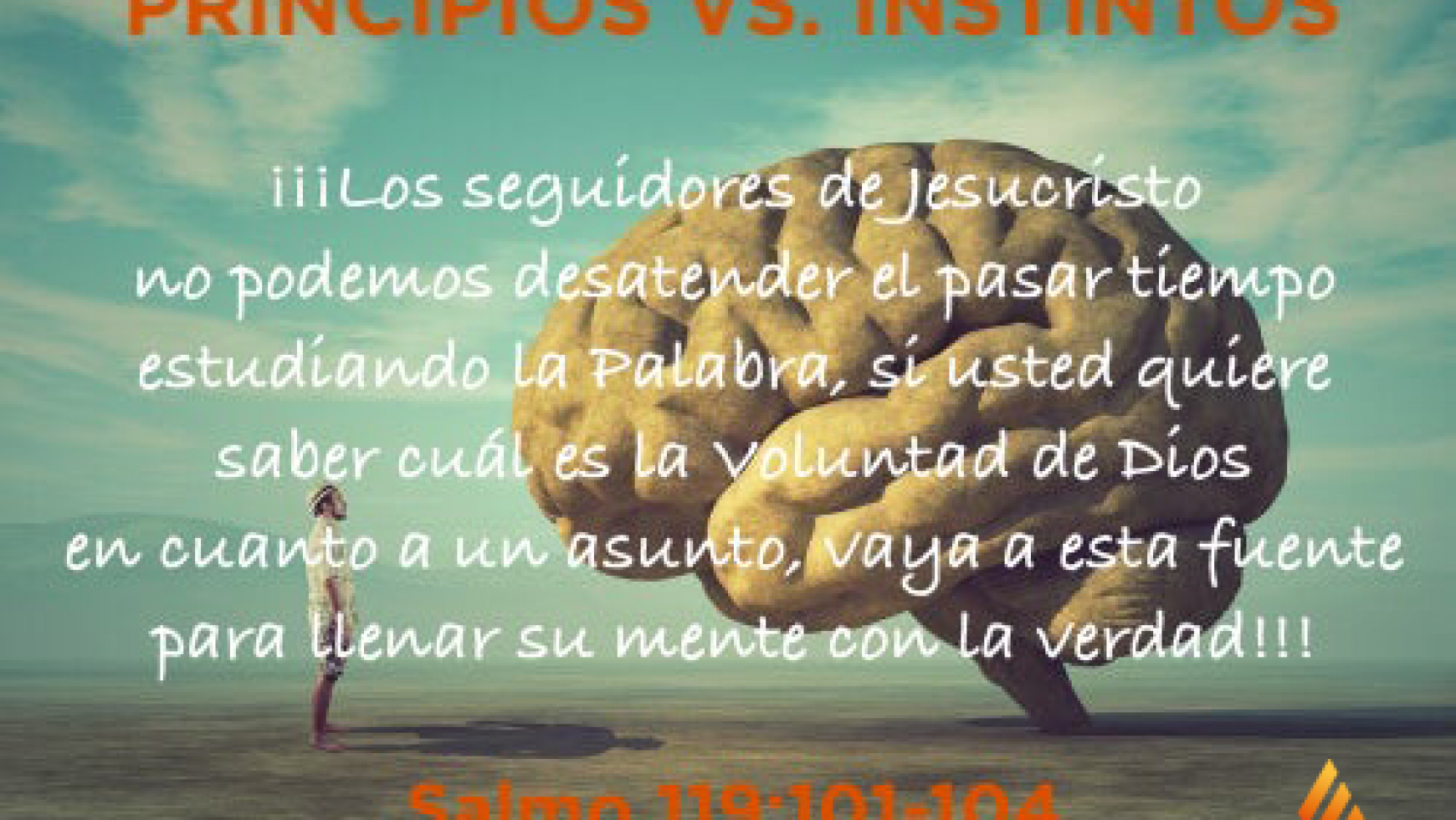 PRINCIPIOS VS. INSTINTOS