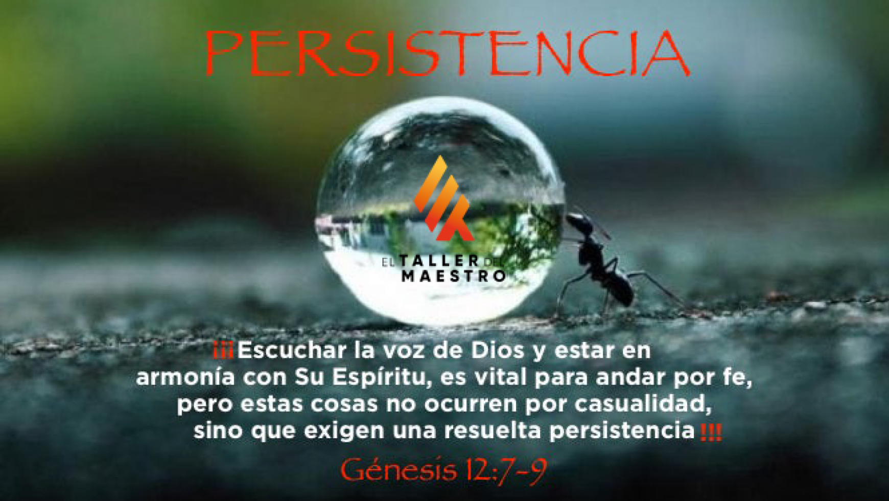 PERSISTENCIA