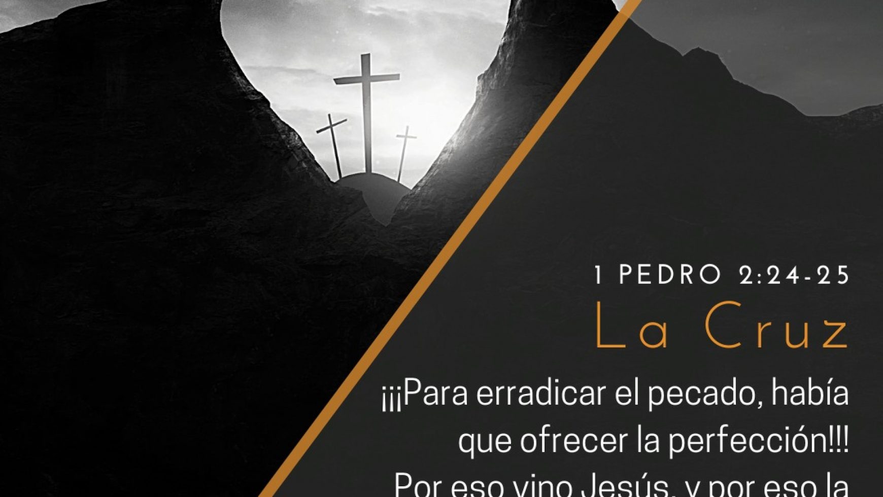 LA CRUZ