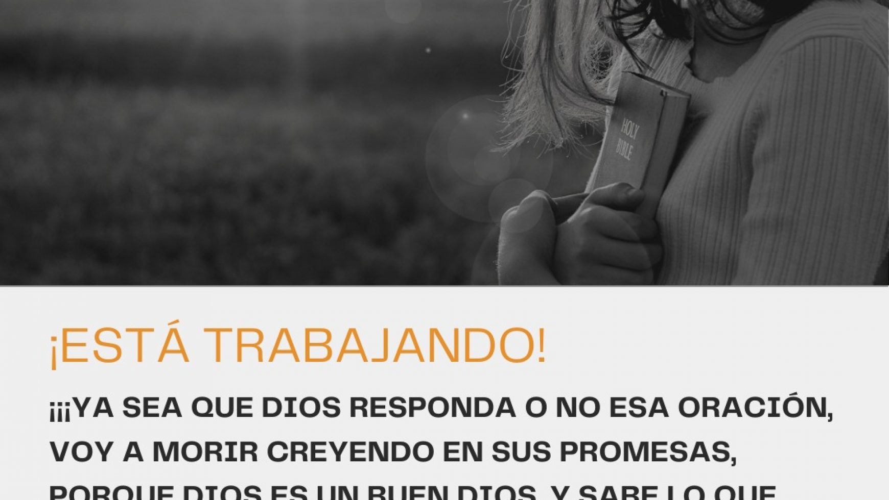 ¡ESTÁ TRABAJANDO!