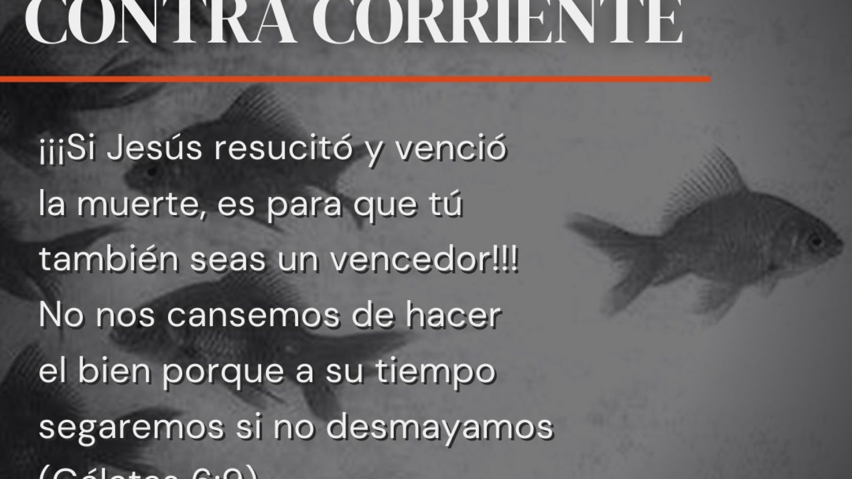 CONTRA CORRIENTE