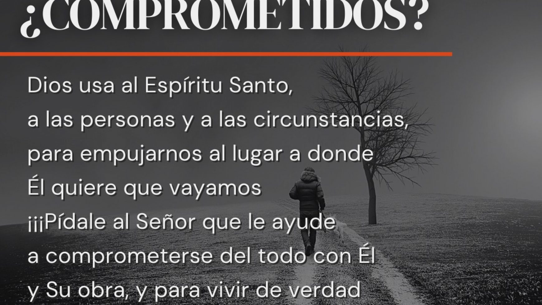 ¿COMPROMETIDOS?