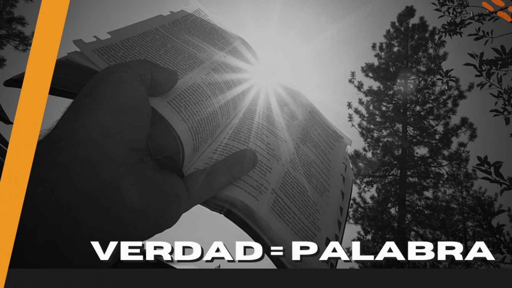 VERDAD = PALABRA