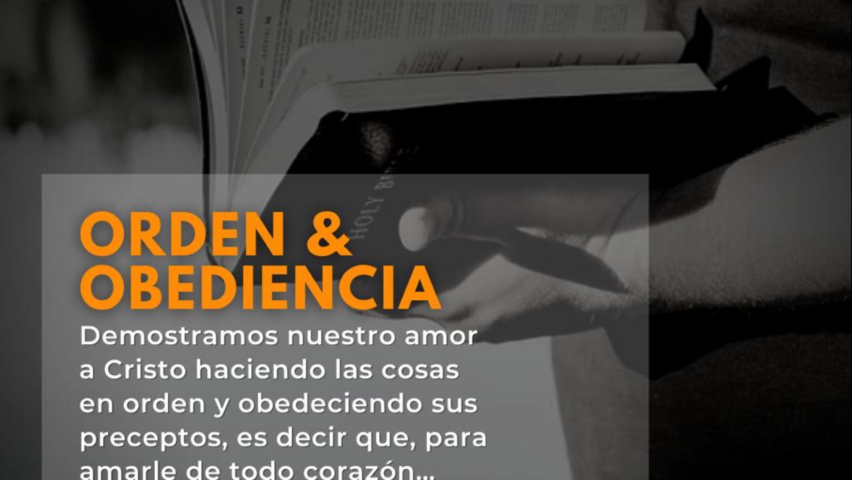 ORDEN & OBEDIENCIA