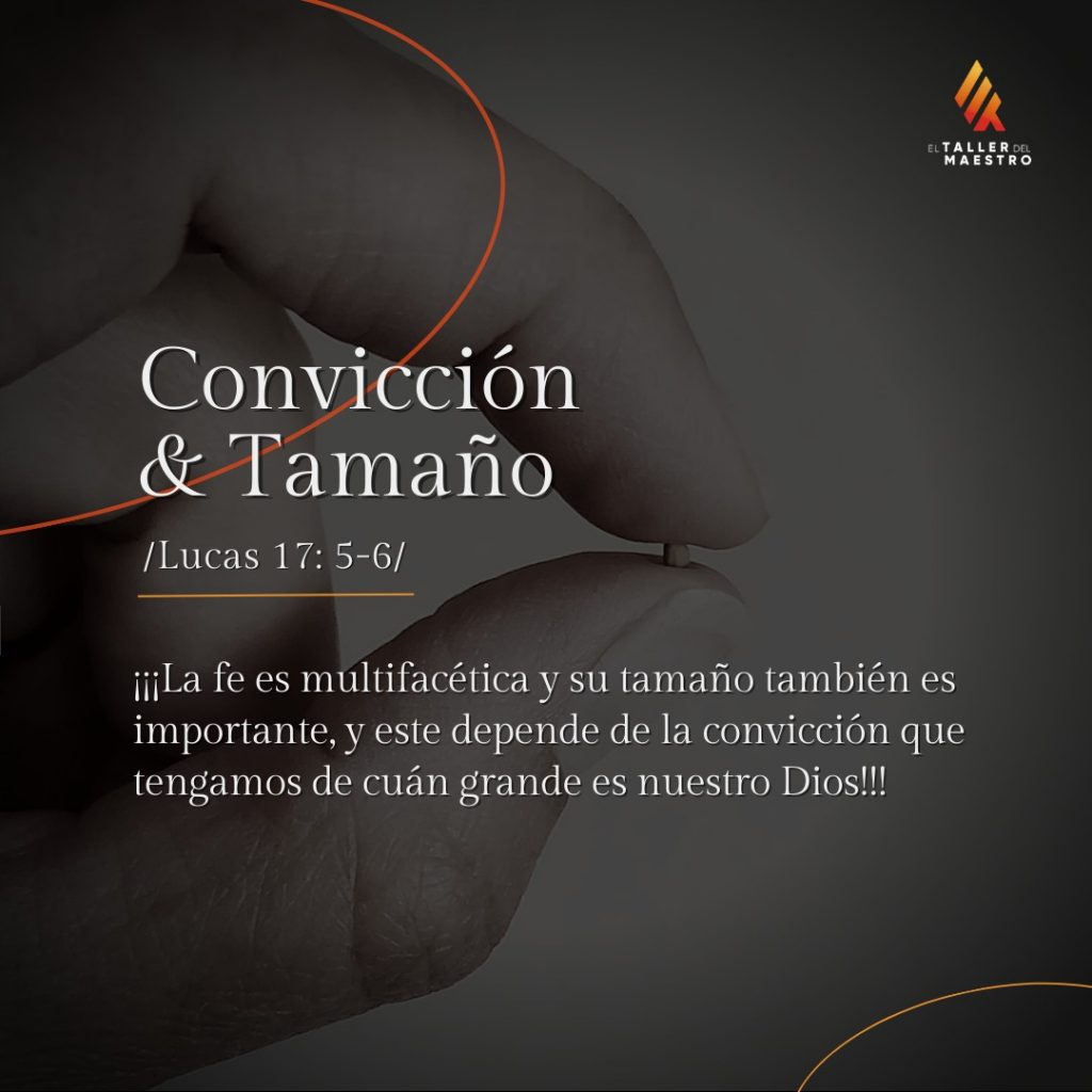 CONVICCIÓN & TAMAÑO