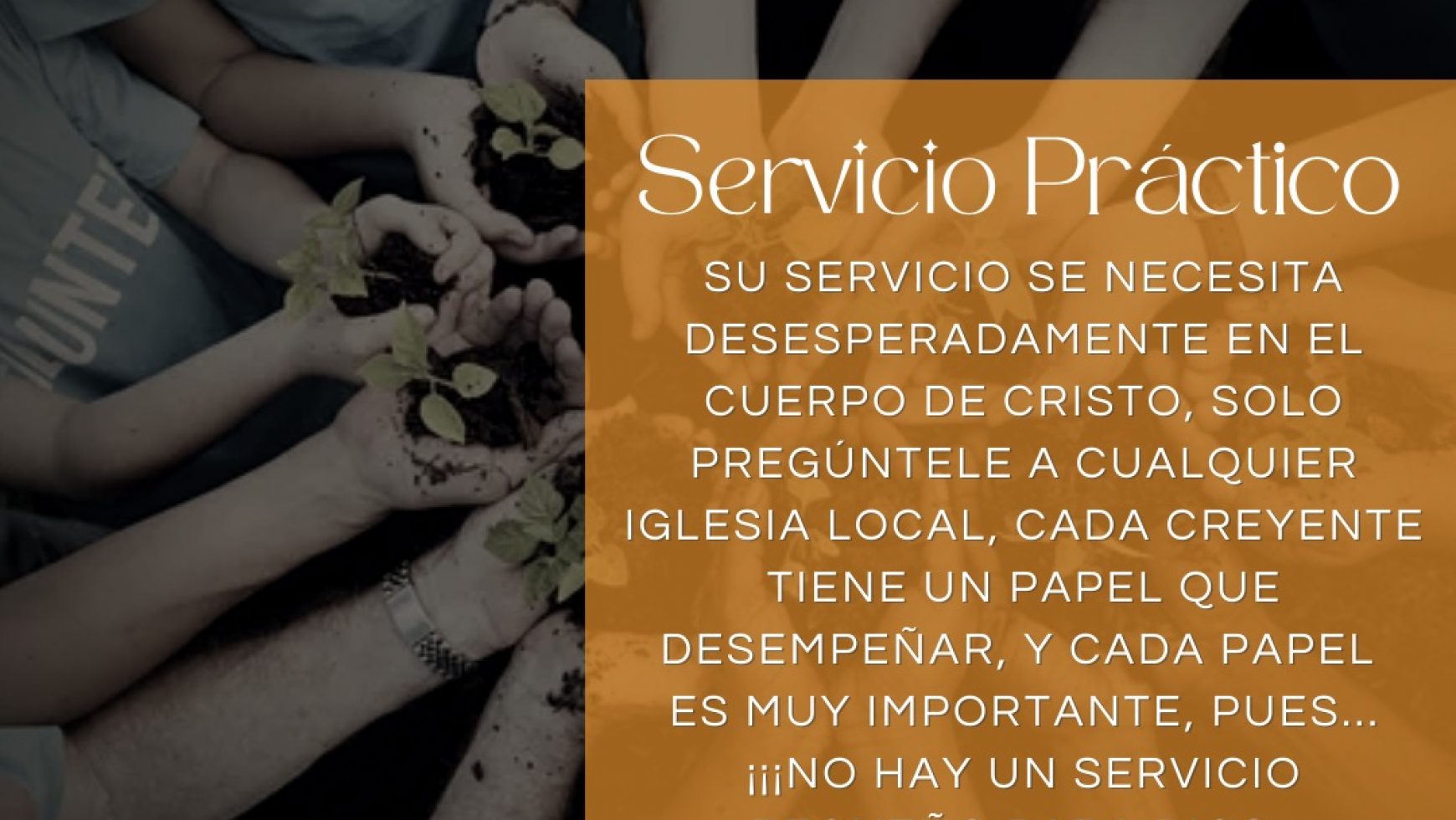 SERVICIO PRÁCTICO