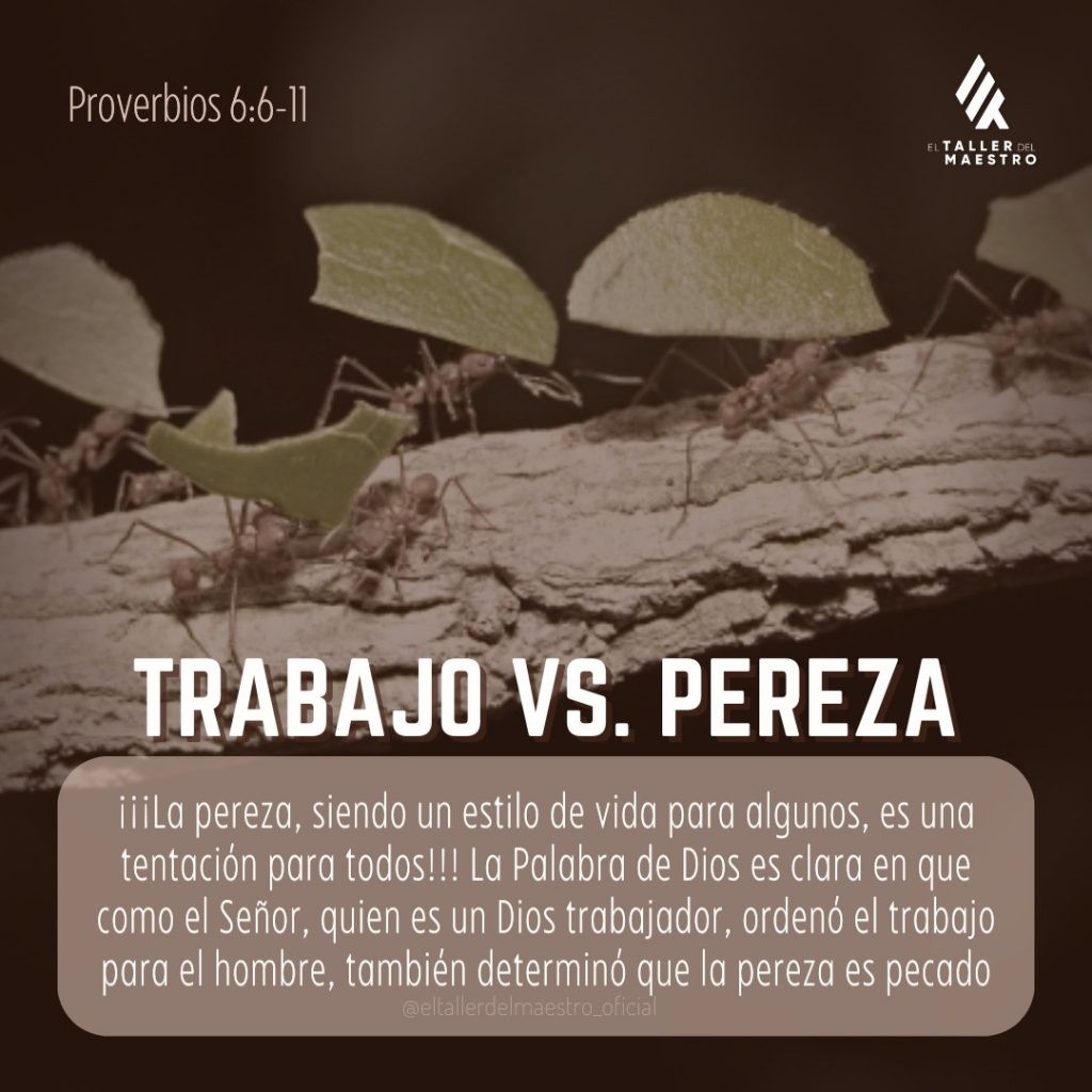 👍🏼 TRABAJO VS. PEREZA 👎🏼