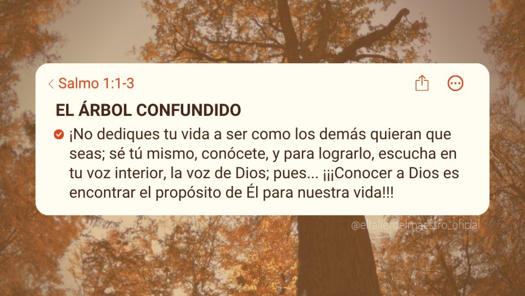 🌳 EL ÁRBOL CONFUNDIDO 🌳