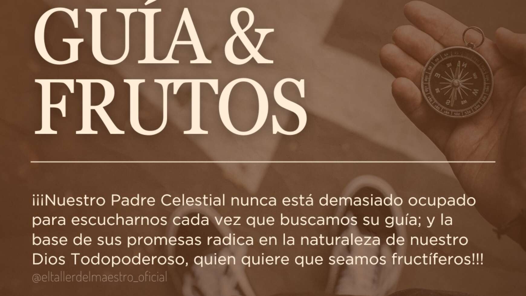 GUÍA & FRUTOS