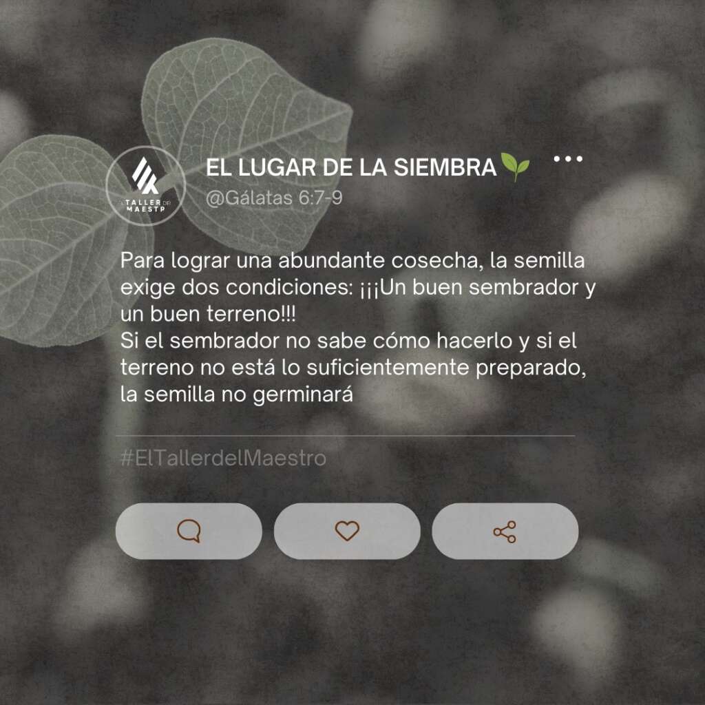 EL LUGAR DE LA SIEMBRA 