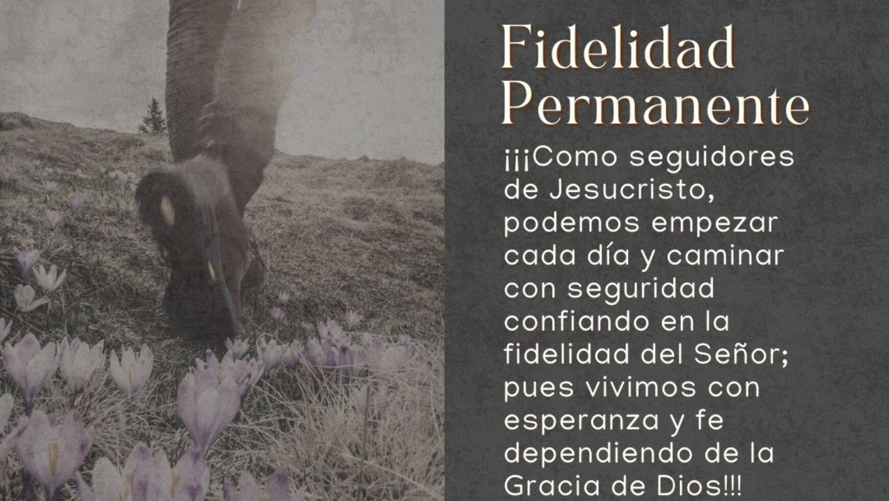 FIDELIDAD PERMANENTE