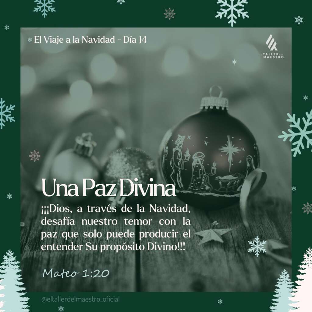 ❆ EL VIAJE A LA NAVIDAD 🎄 Día 14 – UNA PAZ DIVINA