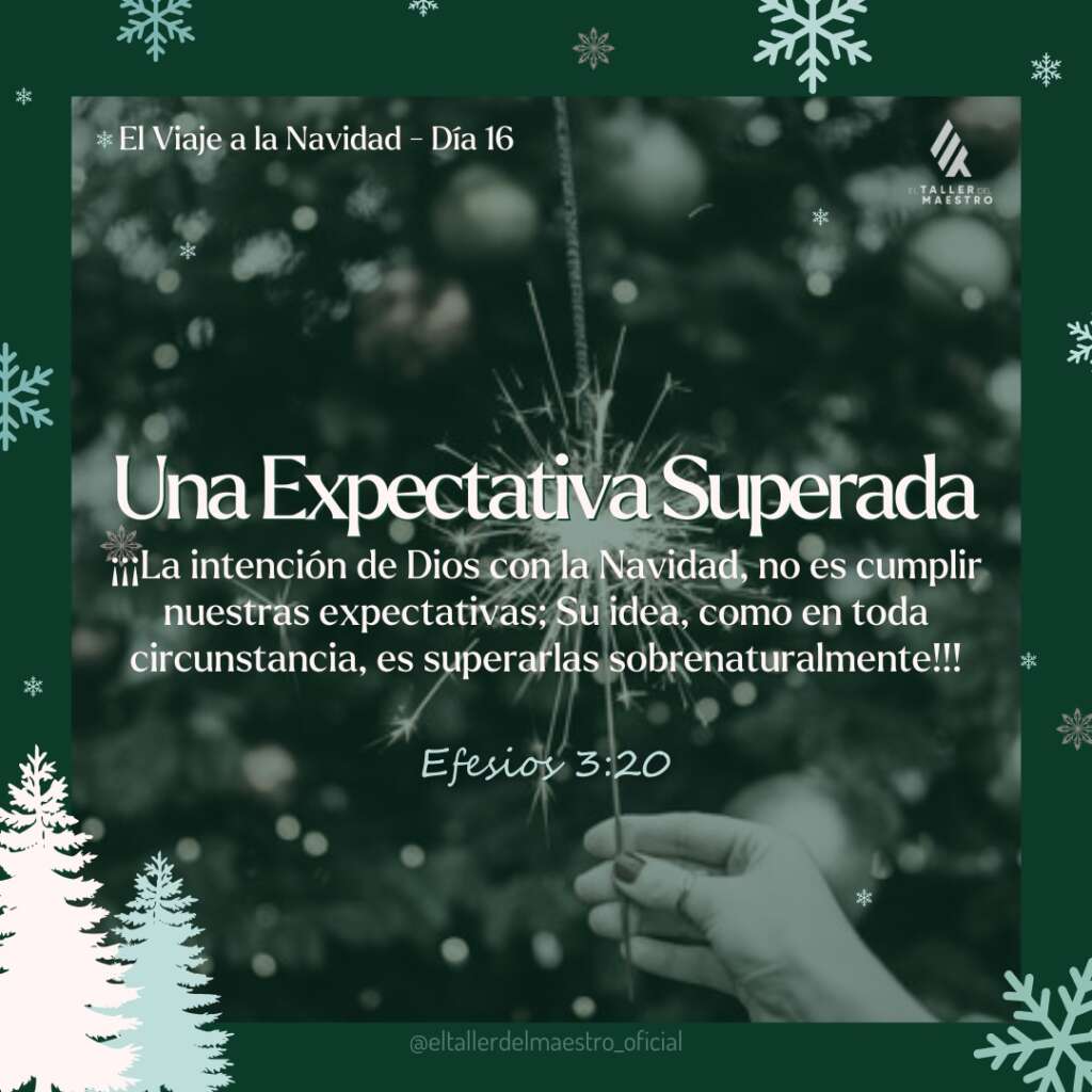 ❆ EL VIAJE A LA NAVIDAD 🎄 Día 16 – UNA EXPECTATIVA SUPERADA