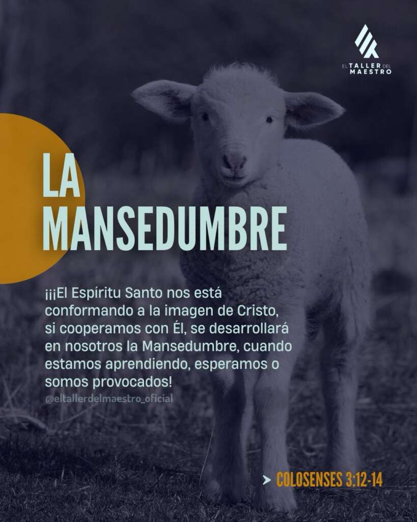 LA MANSEDUMBRE