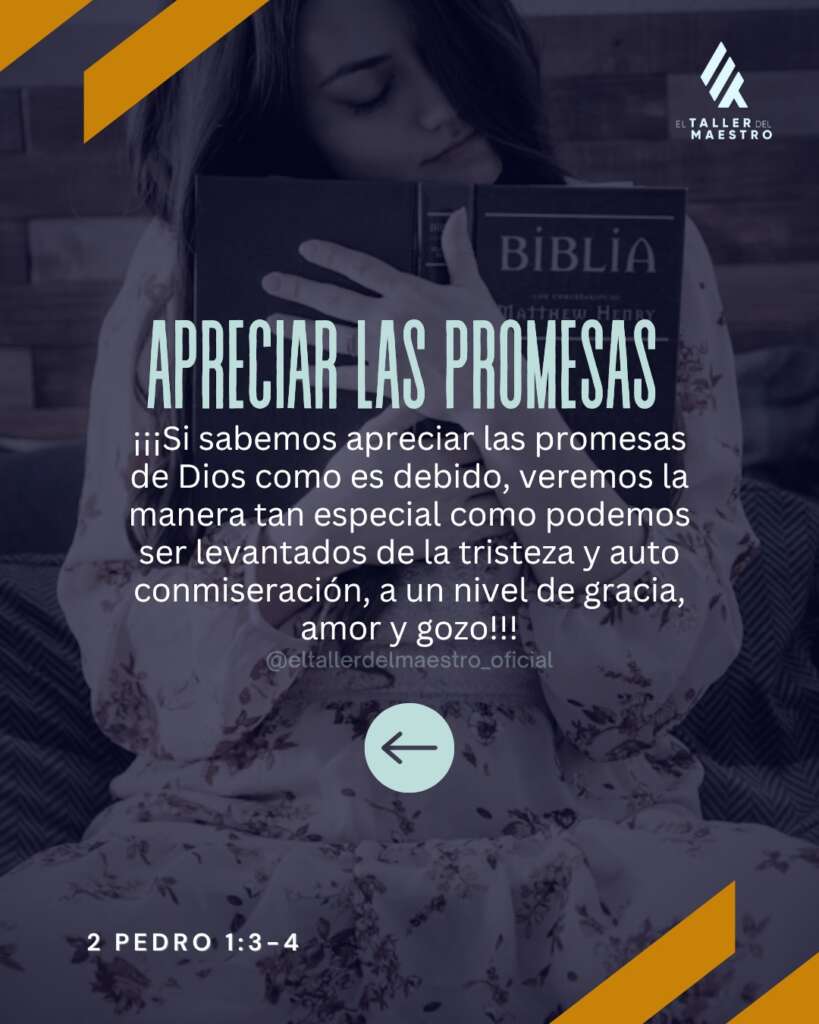 APRECIAR LAS PROMESAS