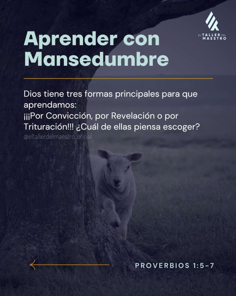 APRENDER CON MANSEDUMBRE