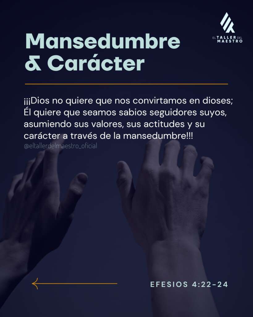 MANSEDUMBRE & CARÁCTER