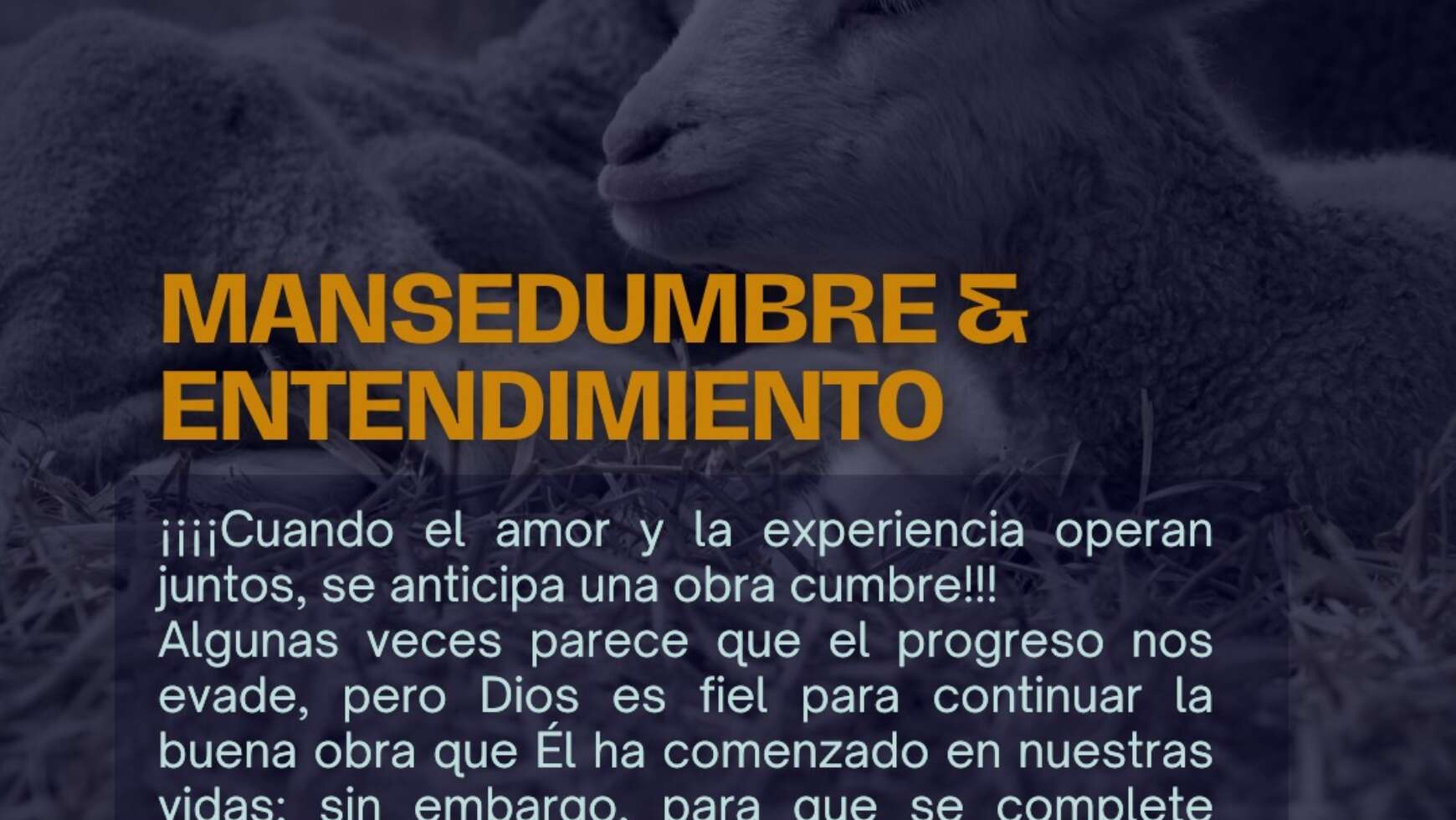 MANSEDUMBRE & ENTENDIMIENTO