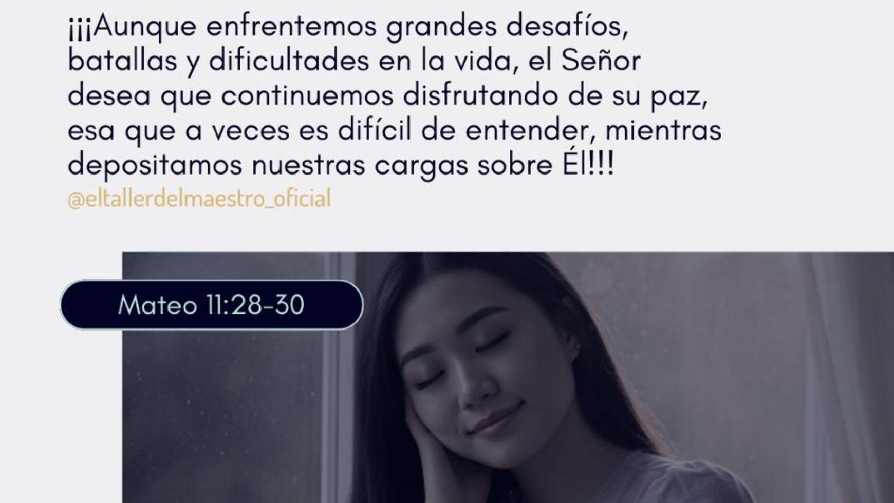 CARGADOS Y AGOTADOS