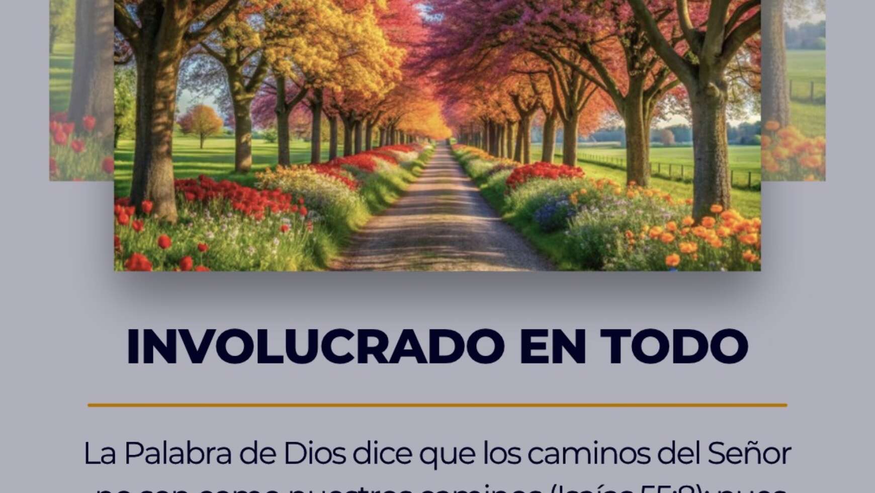 INVOLUCRADO EN TODO