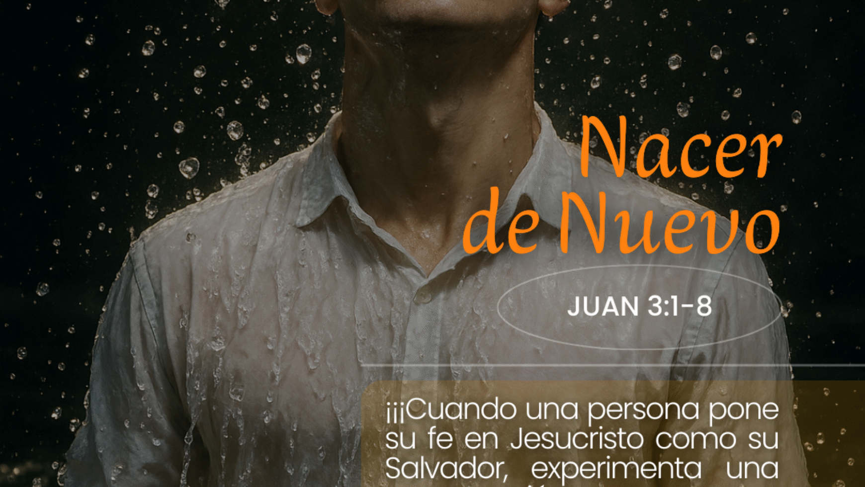 NACER DE NUEVO