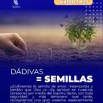 DÁDIVAS = SEMILLAS