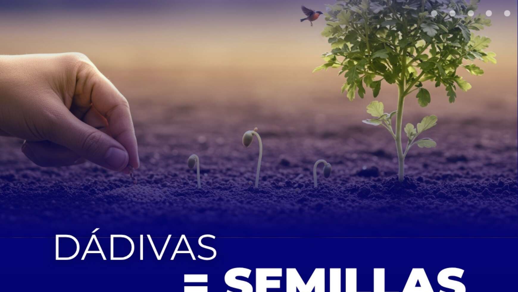 DÁDIVAS = SEMILLAS