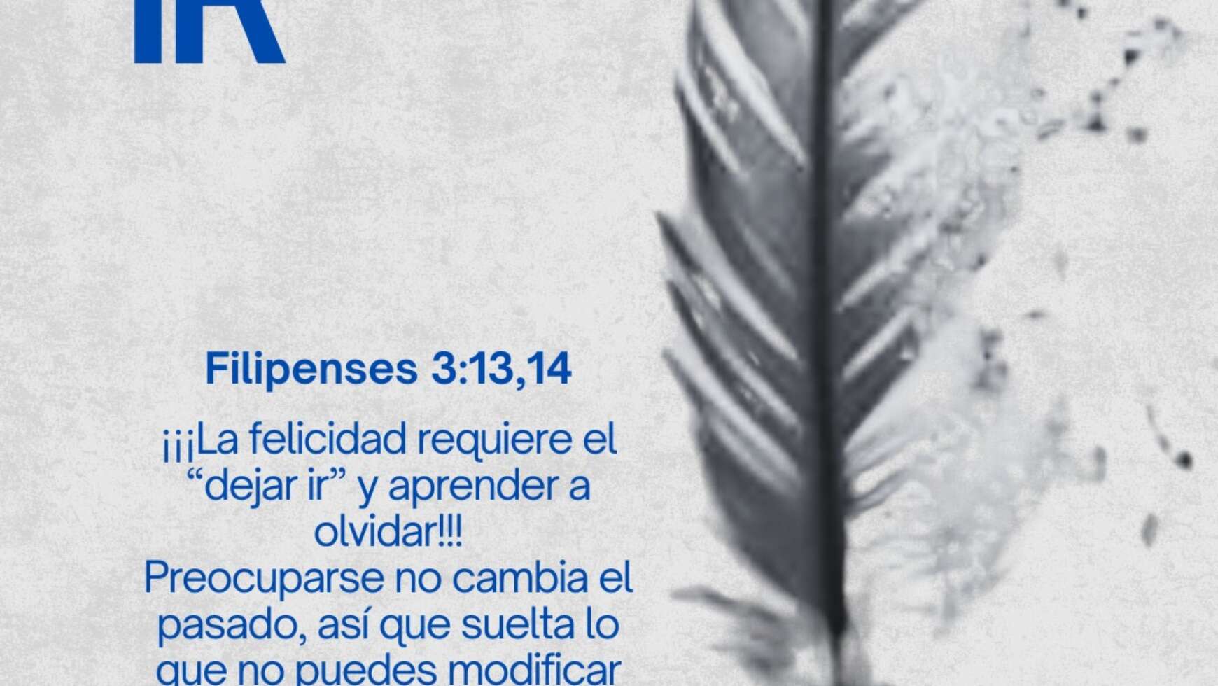 👋🏼 DEJAR IR 👋🏼