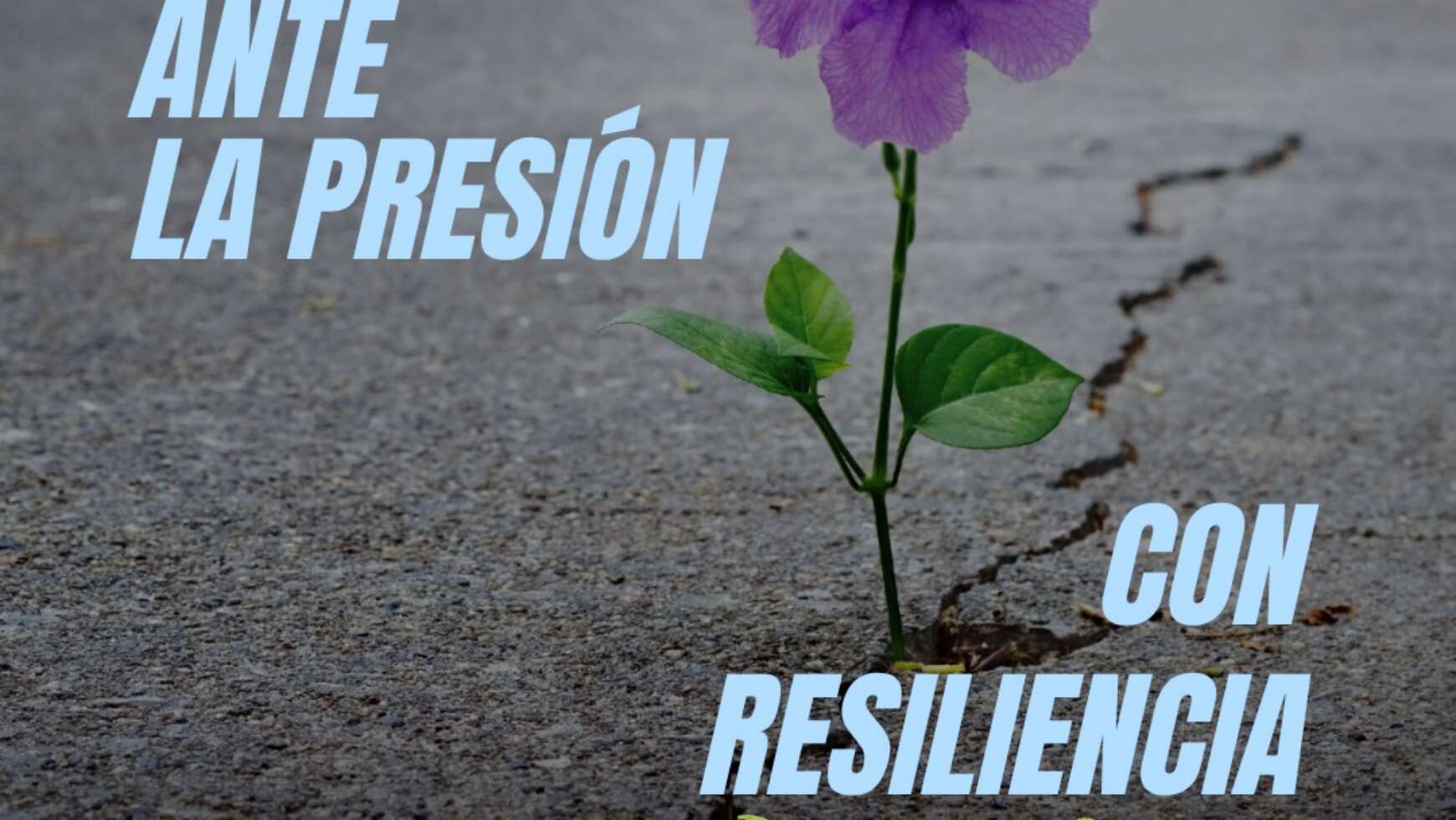 💪🏼 RESPONDE ANTE LA PRESIÓN CON RESILIENCIA 💪🏼