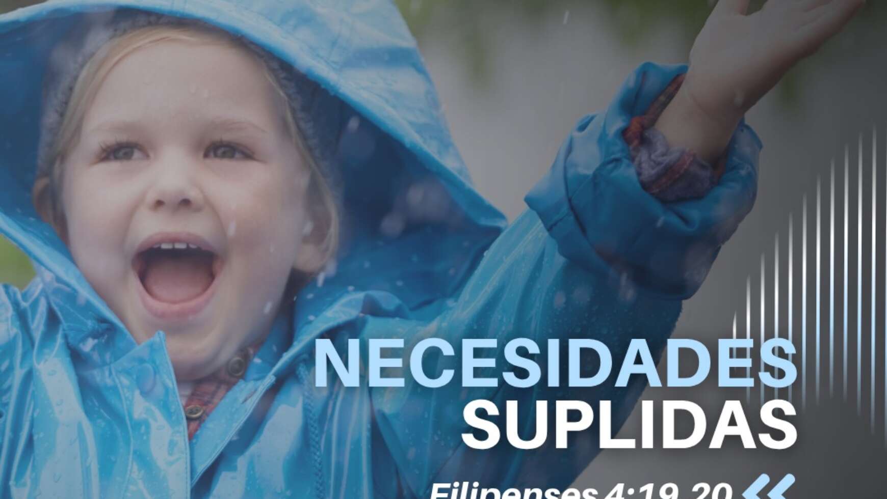 NECESIDADES SUPLIDAS