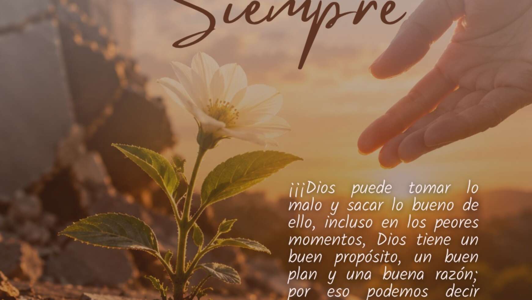 BUENO SIEMPRE